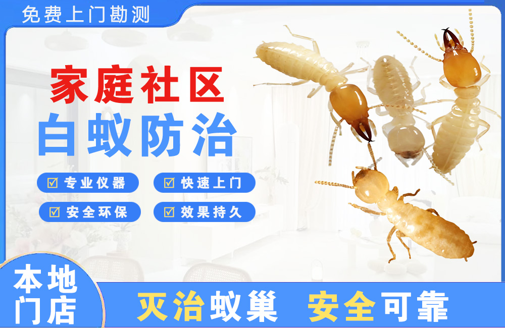 无锡家庭社区白蚁防治