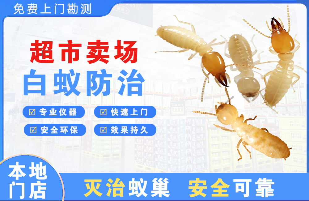 无锡超市卖场白蚁防治