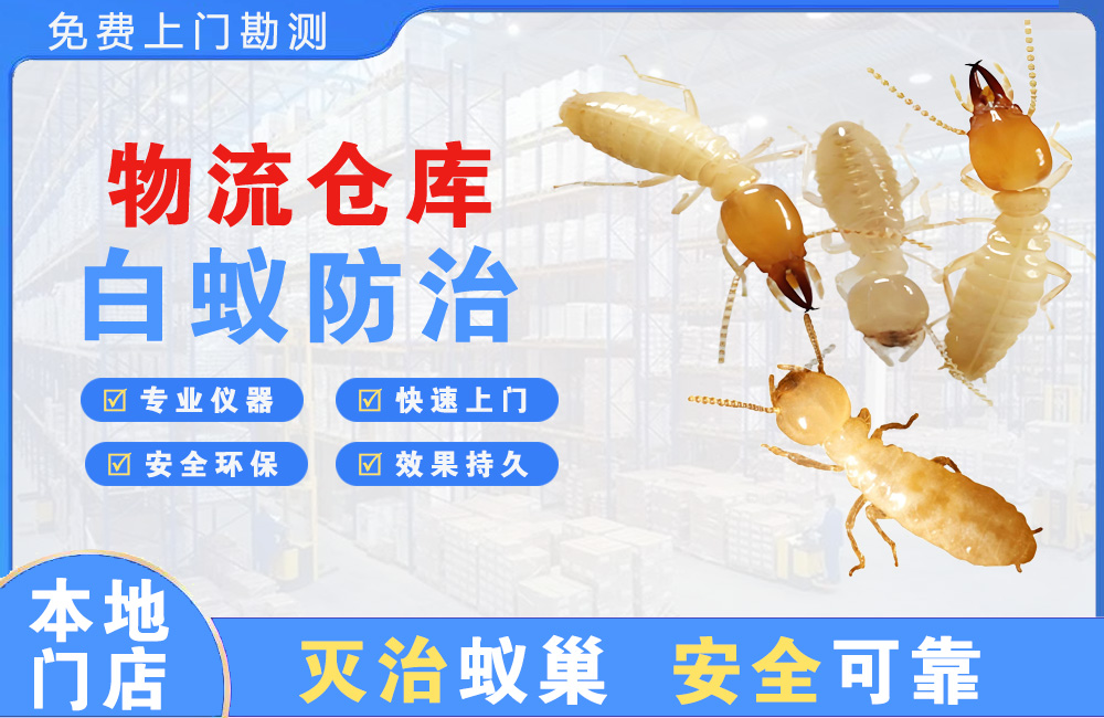 无锡物流仓库白蚁防治