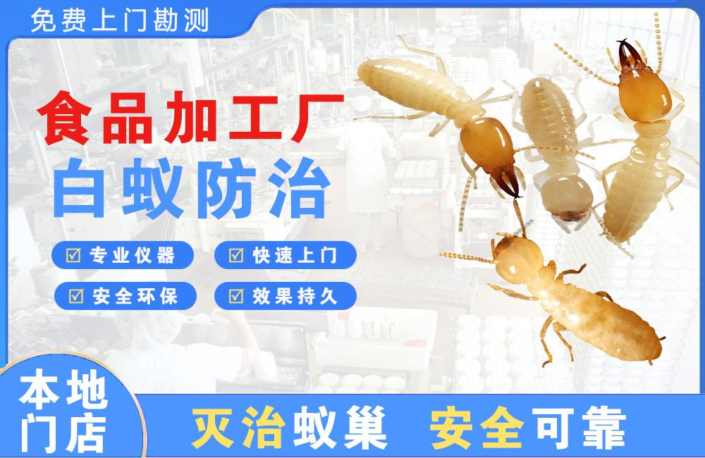 无锡食品加工厂白蚁防治