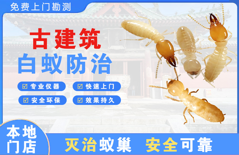 无锡古建筑白蚁防治