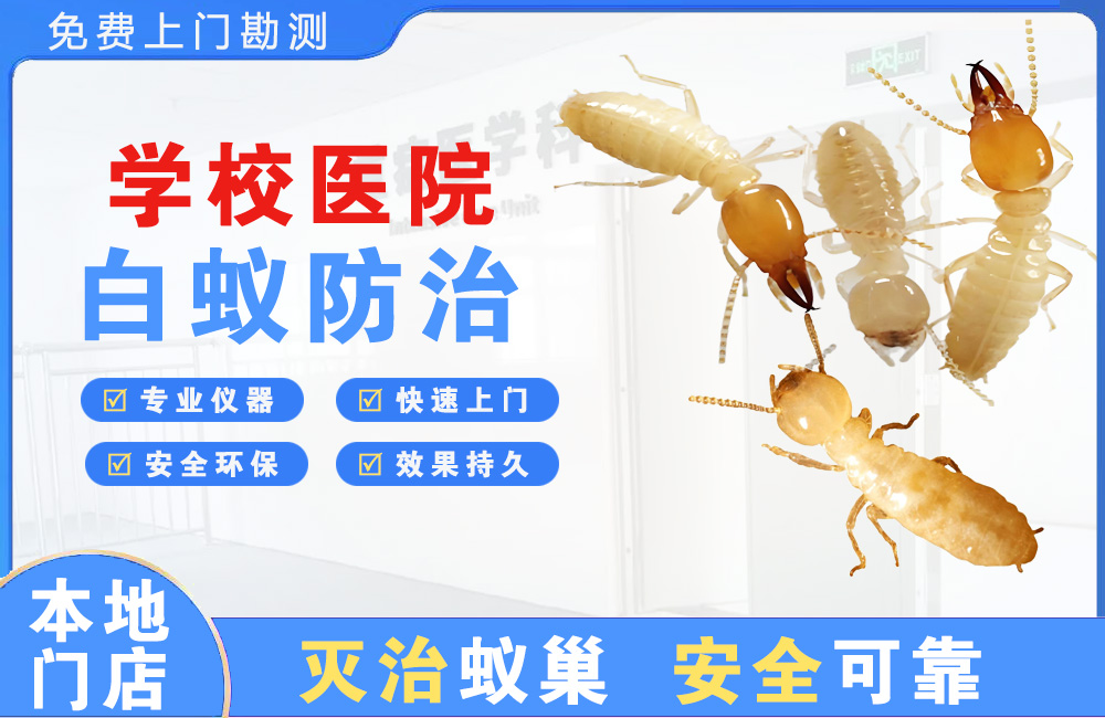 无锡学校医院白蚁防治