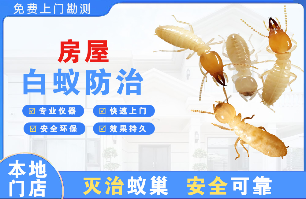 无锡房屋白蚁防治