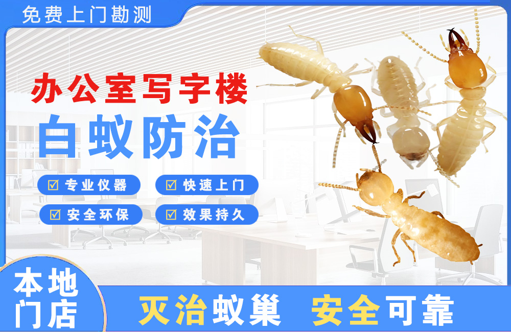 无锡办公室写字楼白蚁防治