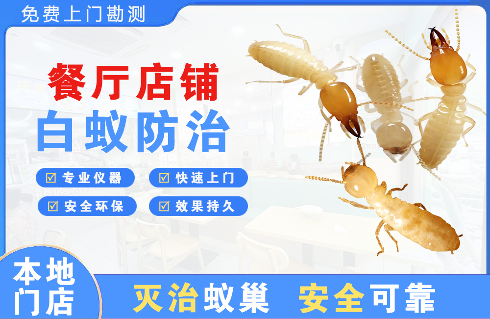 无锡餐厅店铺白蚁防治